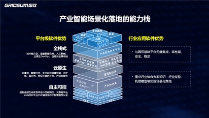 国双祁国晟:产业智能将助推数字经济和实体经济深度融合